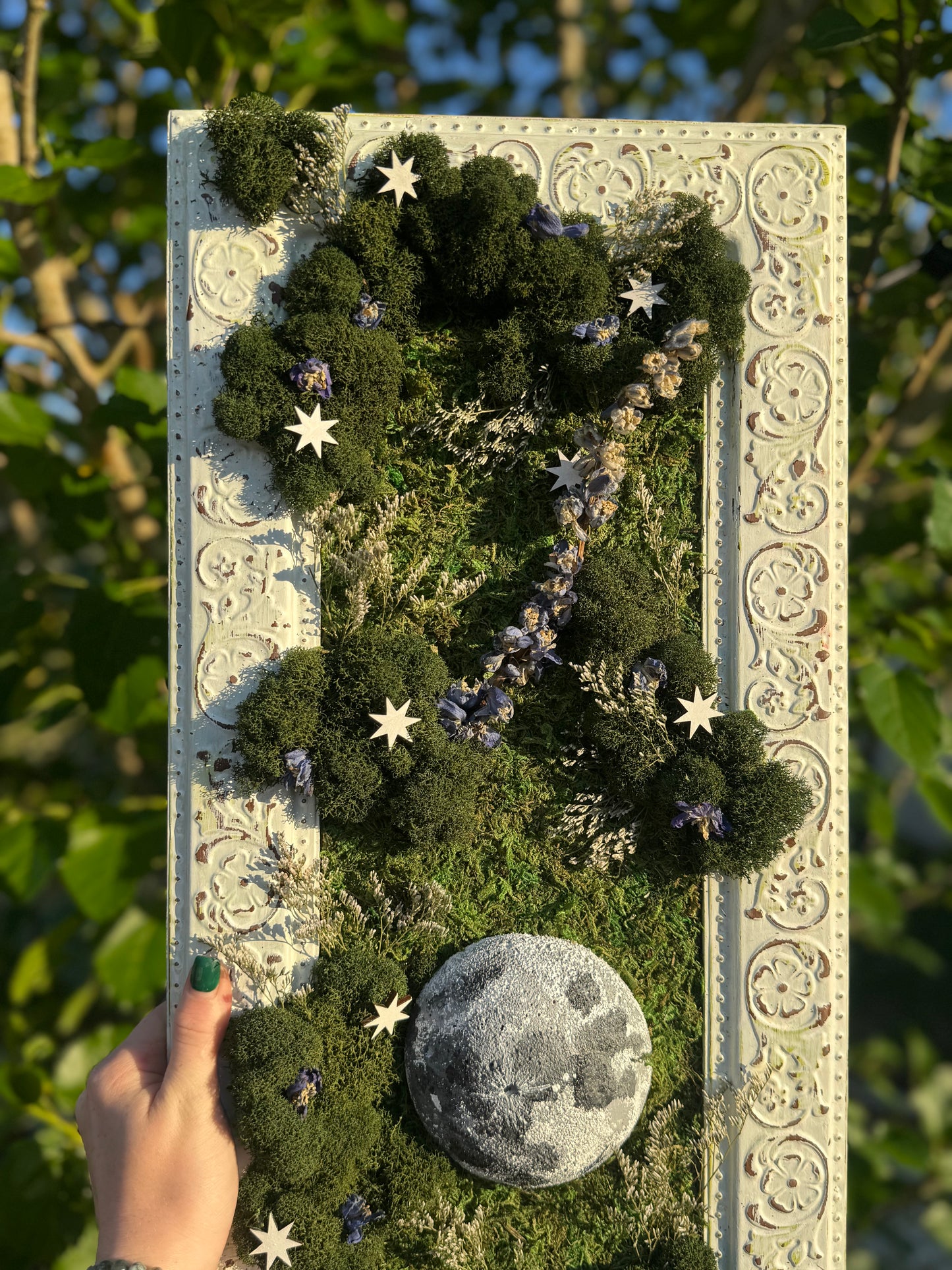 Delphinium Moon