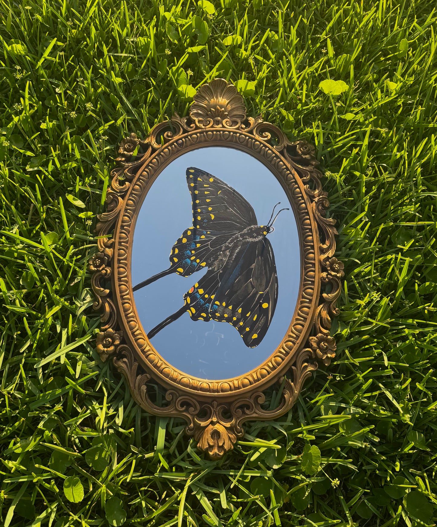 Black Swallowtail Mirror