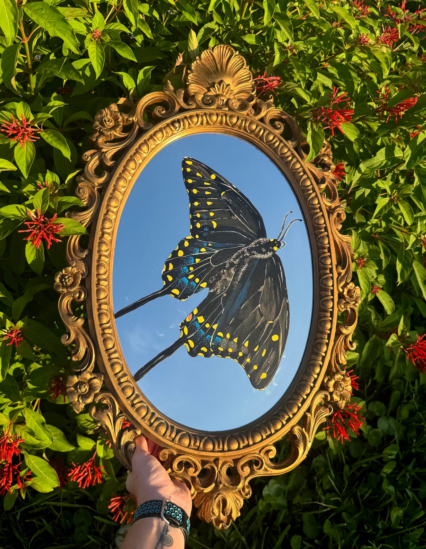 Black Swallowtail Mirror