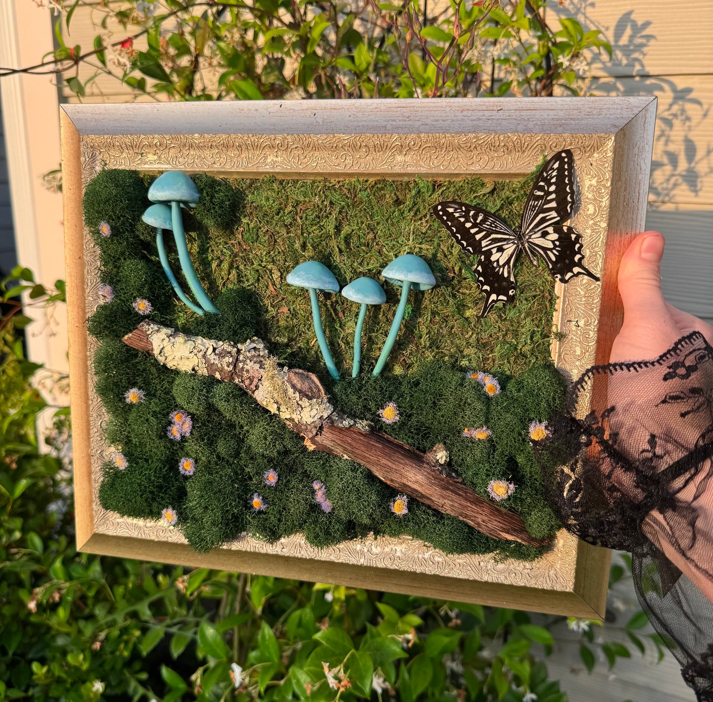 Blue mushrooms with Swallowtail