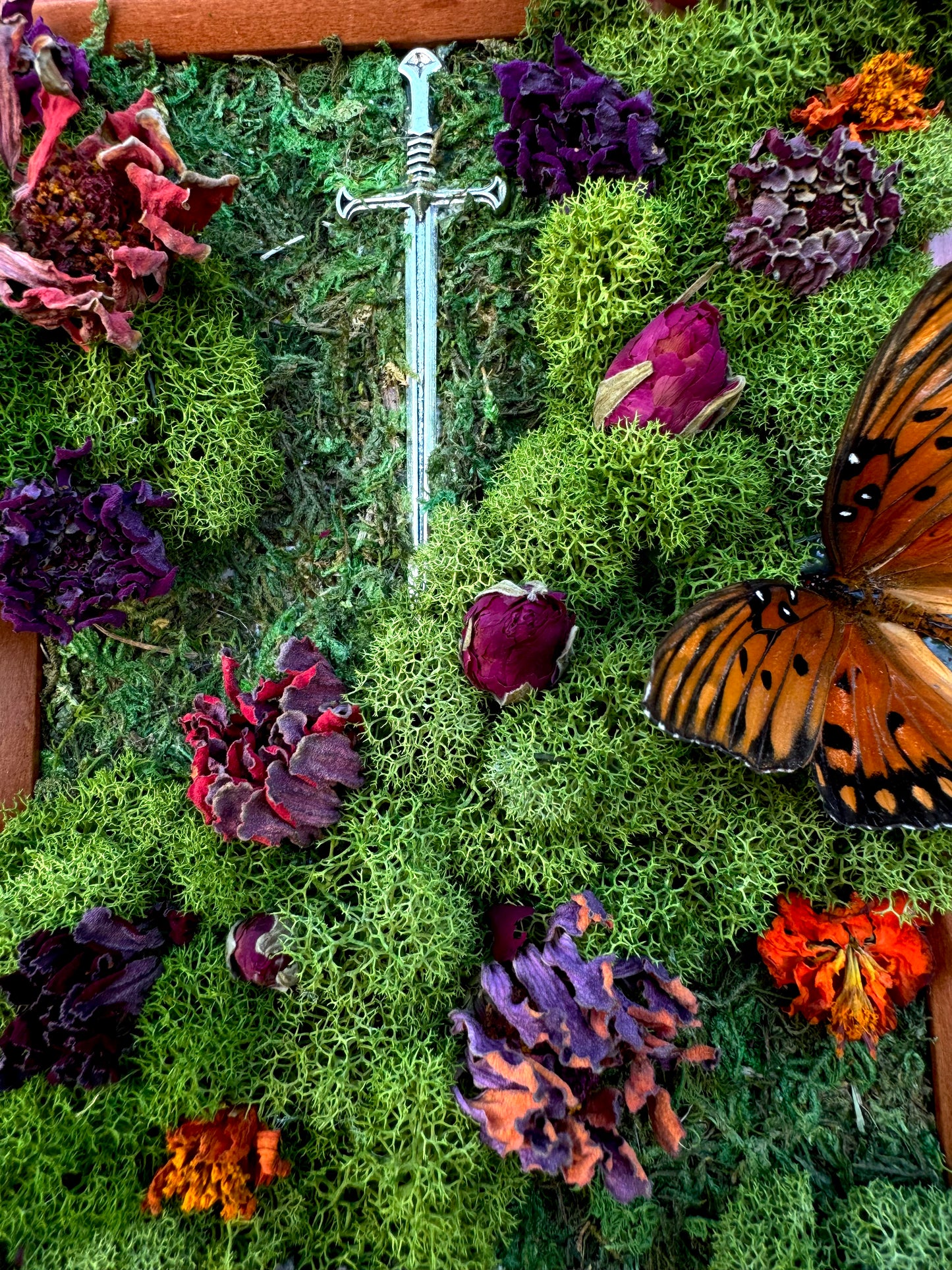 Gulf Fritillary