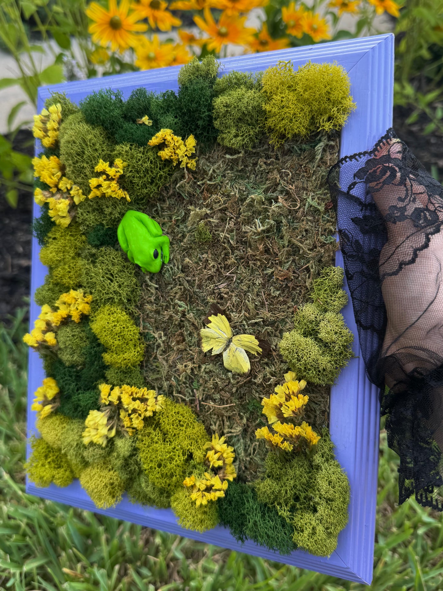 Tree frog