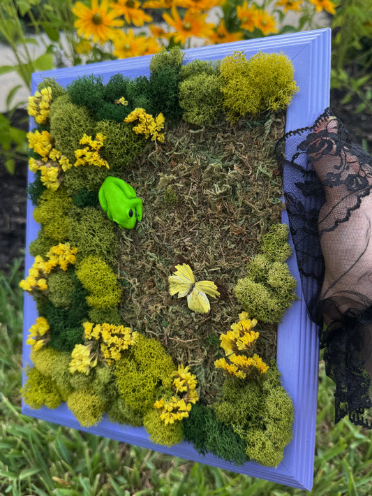 Tree frog
