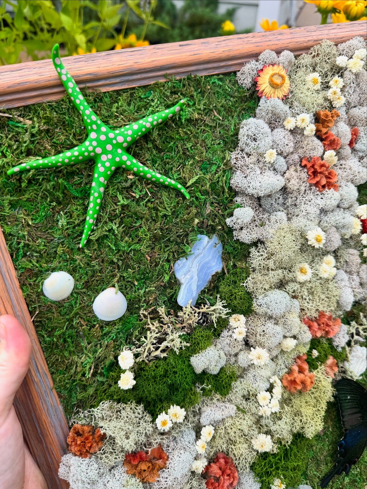 Moss on the Beach