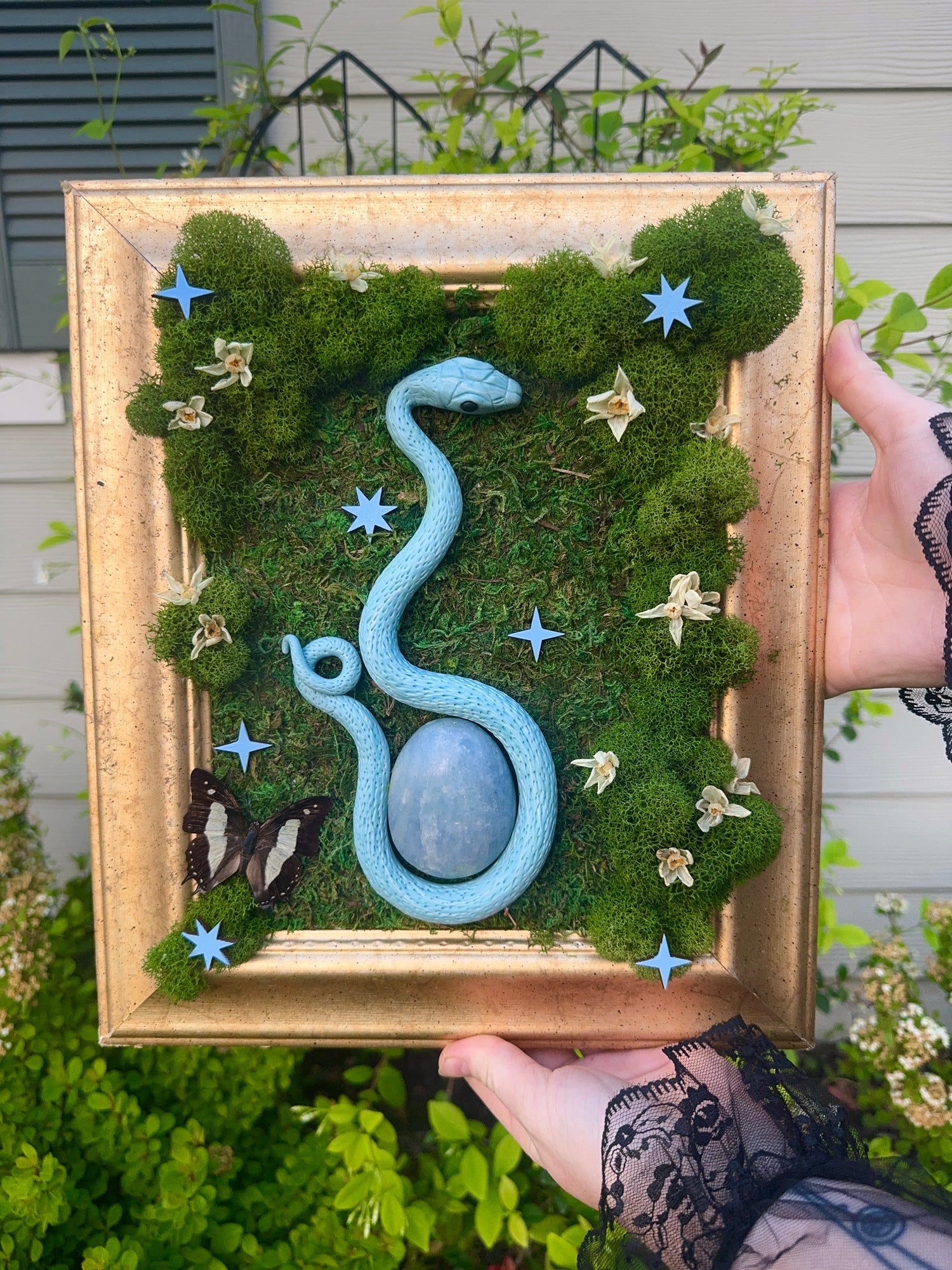Preserved Moss Art