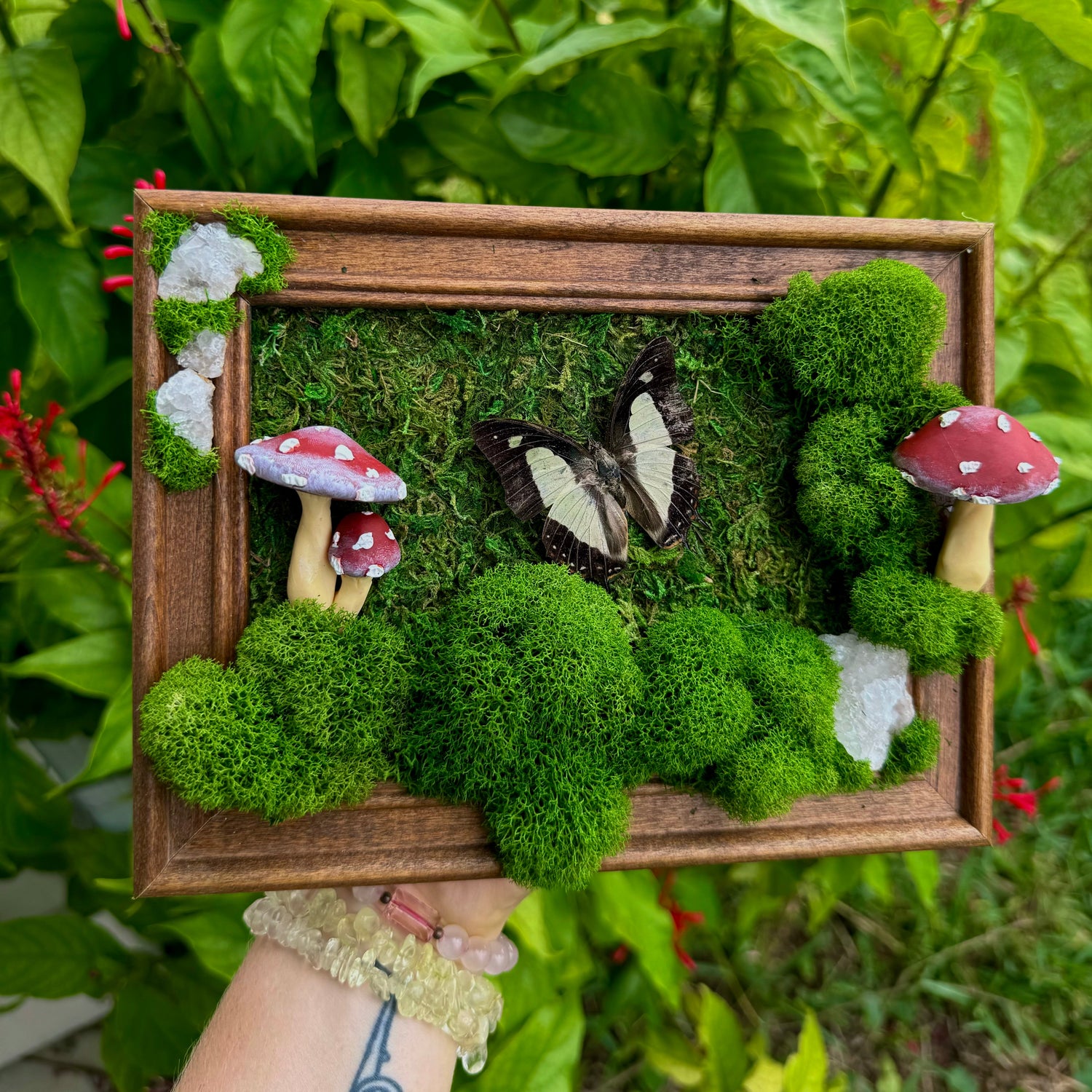 Preserved Moss Art