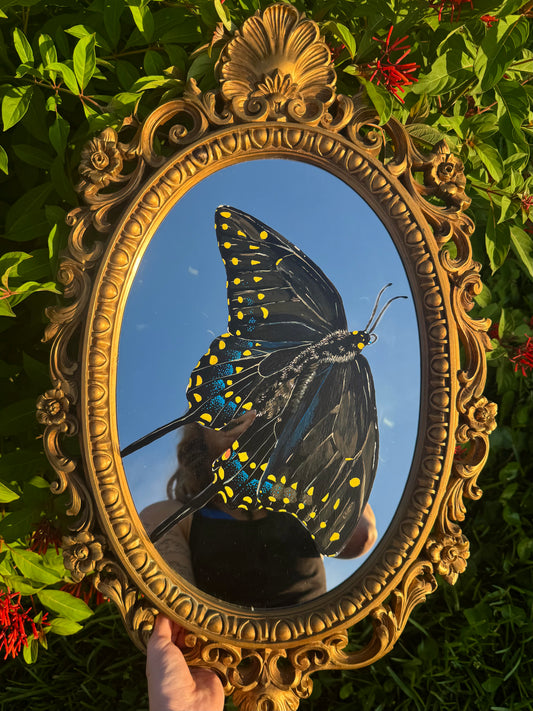 Black Swallowtail Mirror