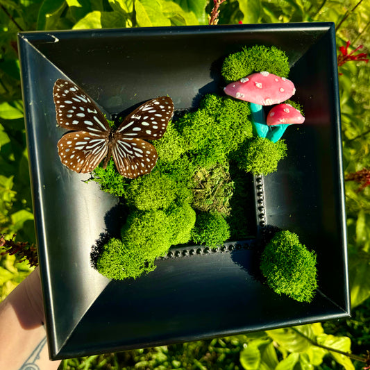 Moss art pink mushrooms and blue tiger butterfly