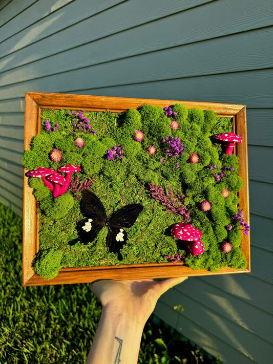 Moss art with Pink Mushrooms and Black Butterfly