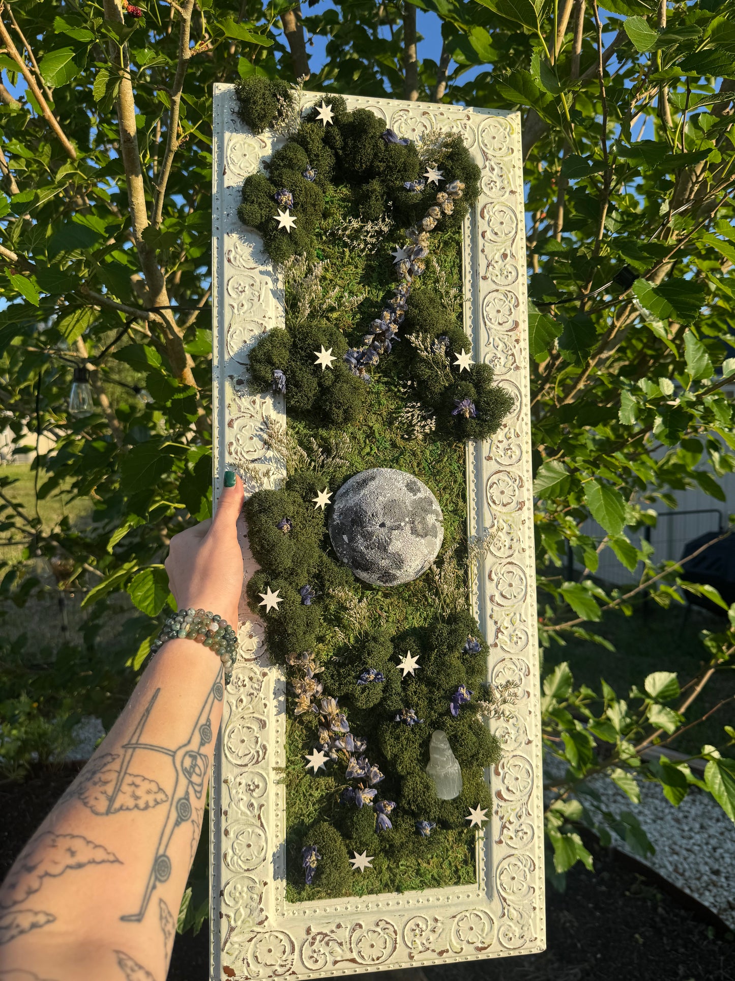 Delphinium Moon