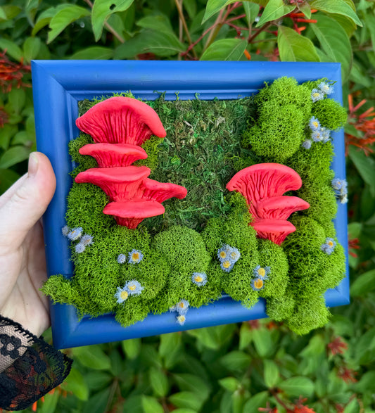 Pink Mushrooms