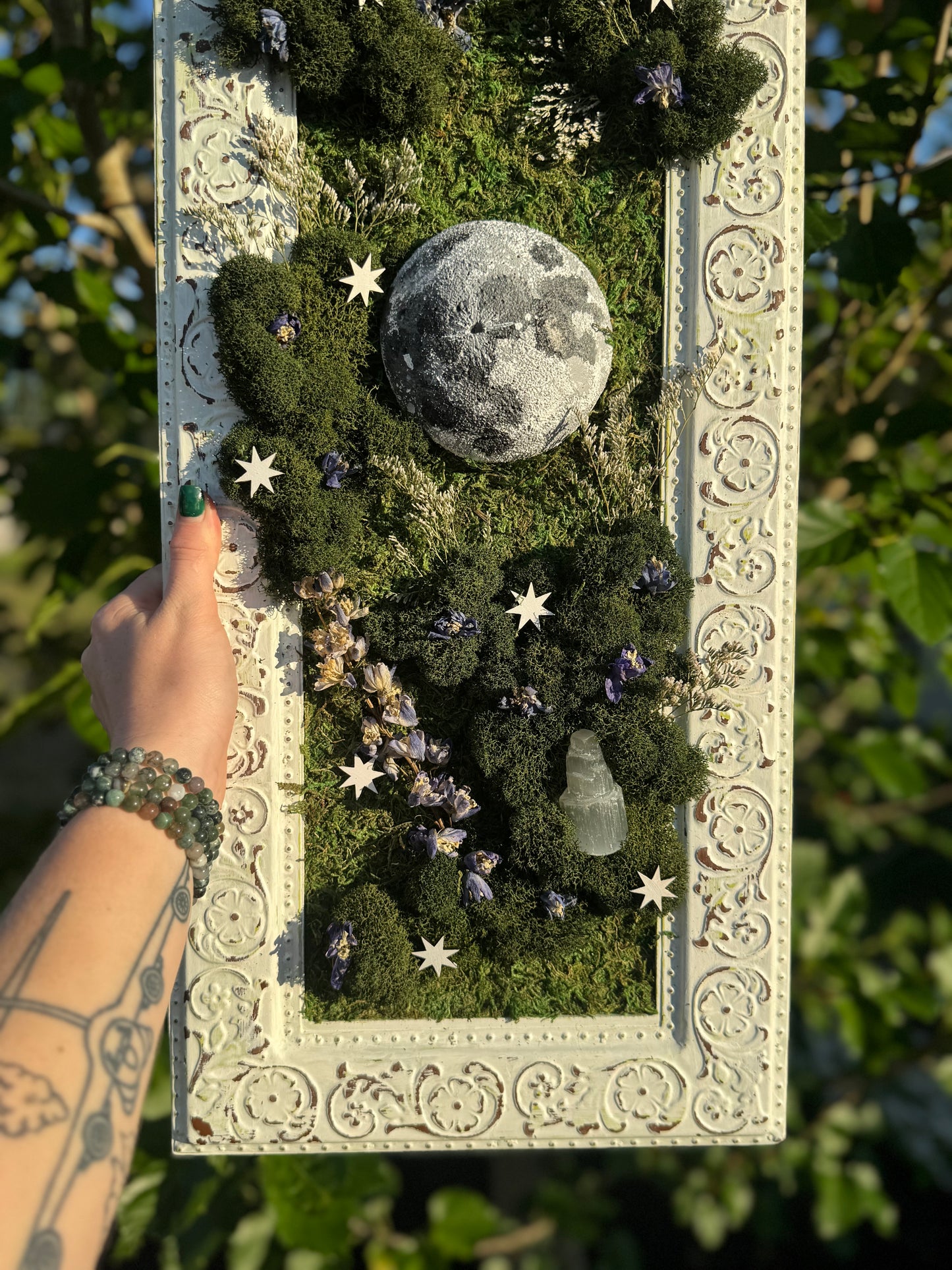 Delphinium Moon
