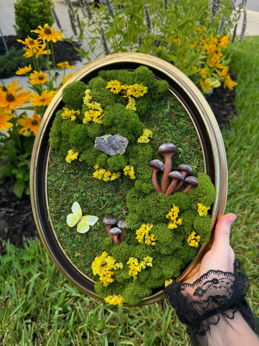 Oval Moss Frame