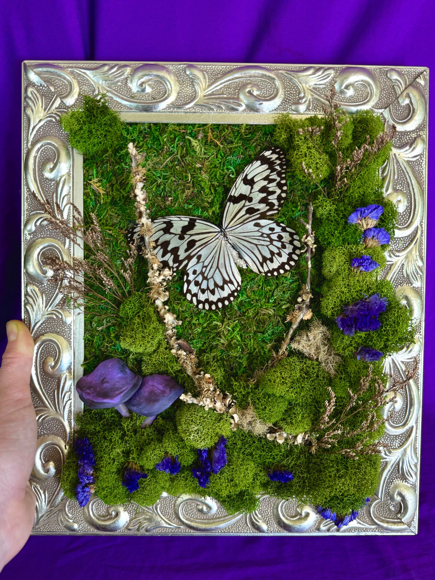 Moss art with Paper Kite Butterfly