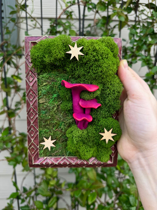 Moss art with pink mushrooms and stars