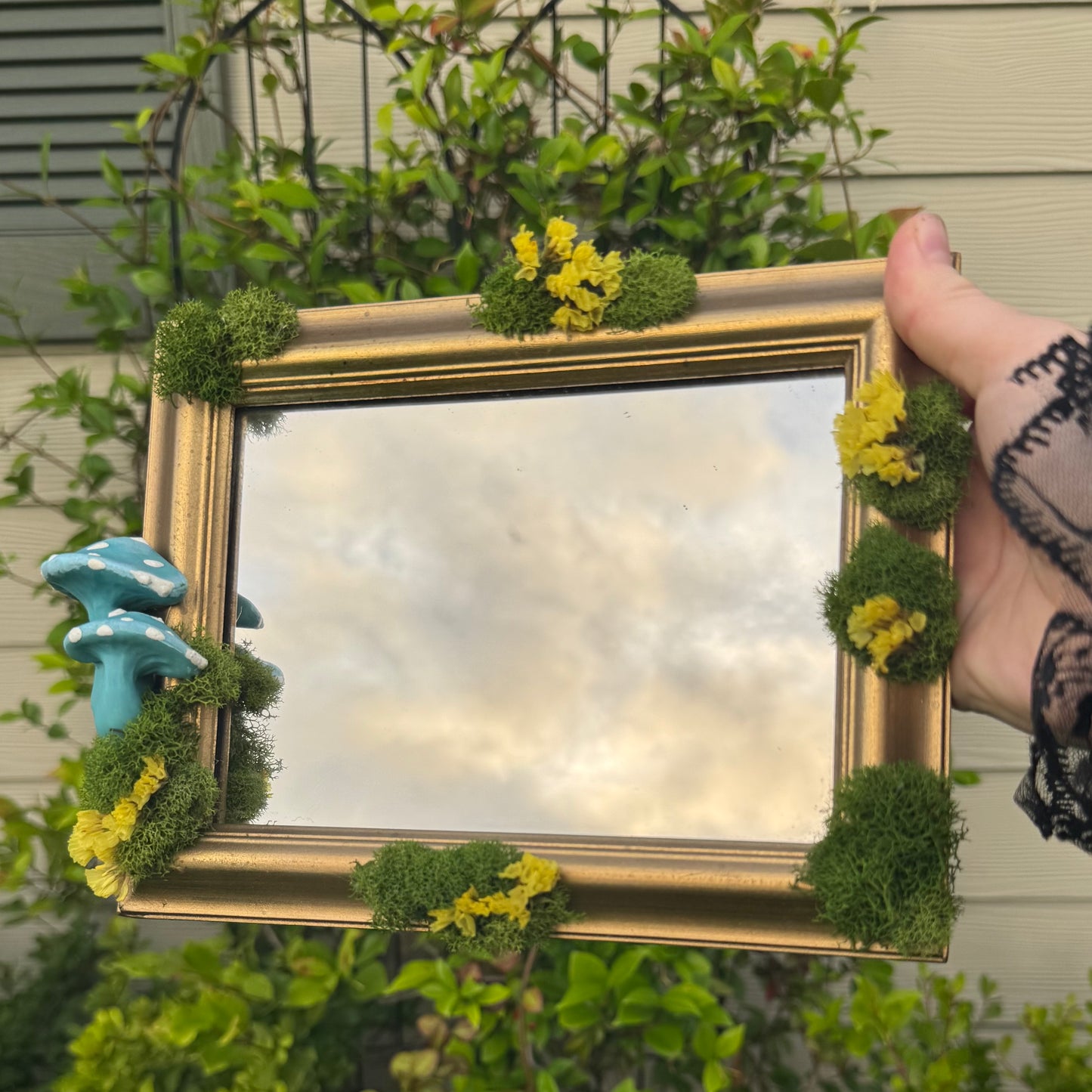 Blue mushroom mirror