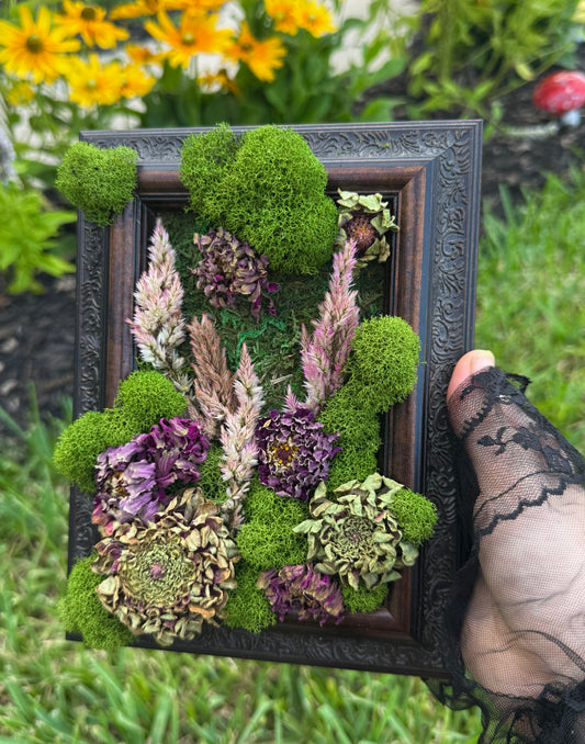 Zinnias