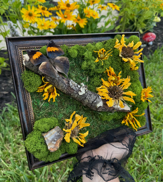 Rudbeckia and Agate