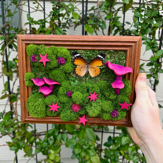 Moss art with pink stars