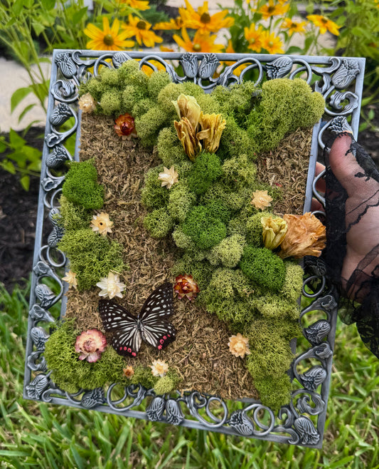 Lisianthus Frame
