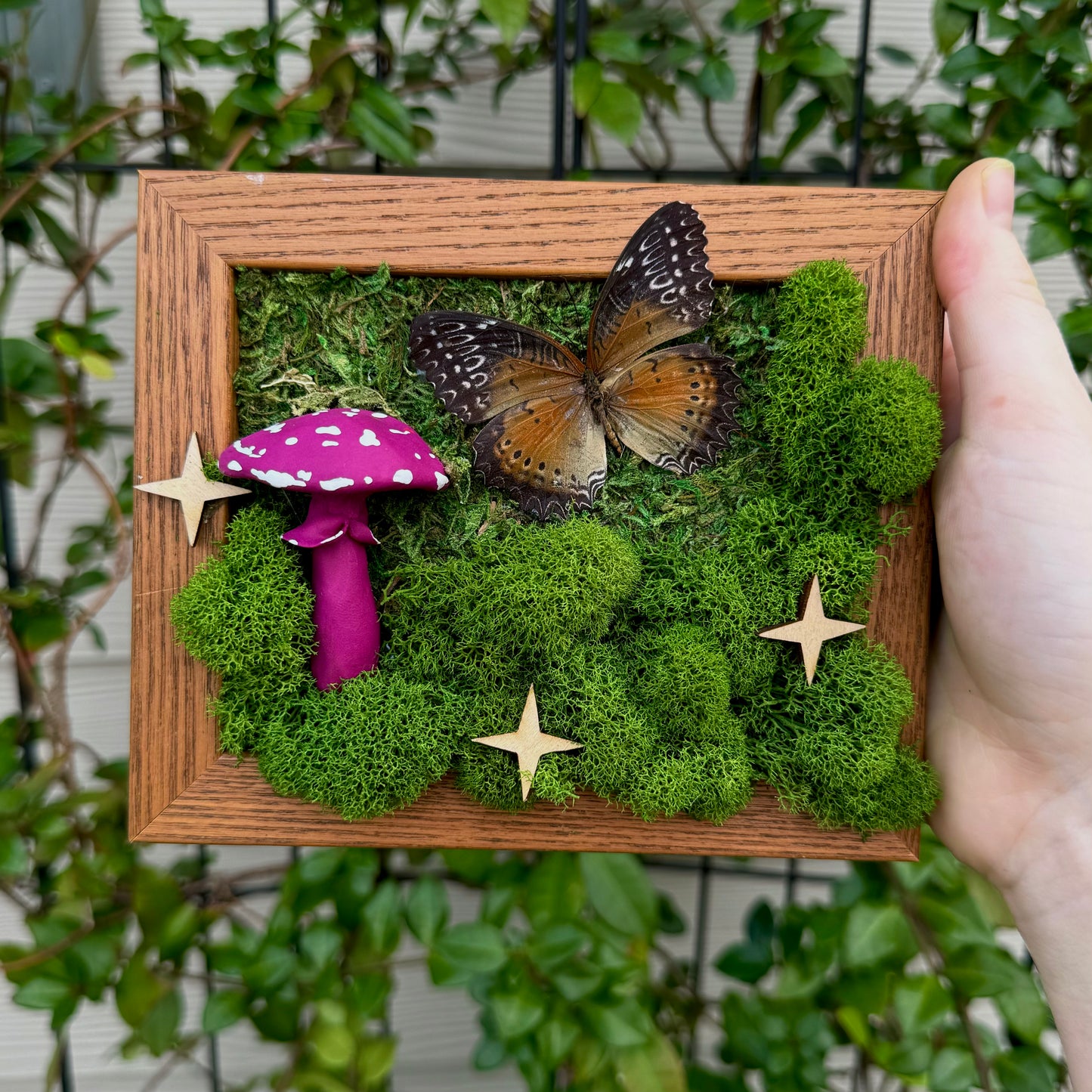 Moss art with red lacewing