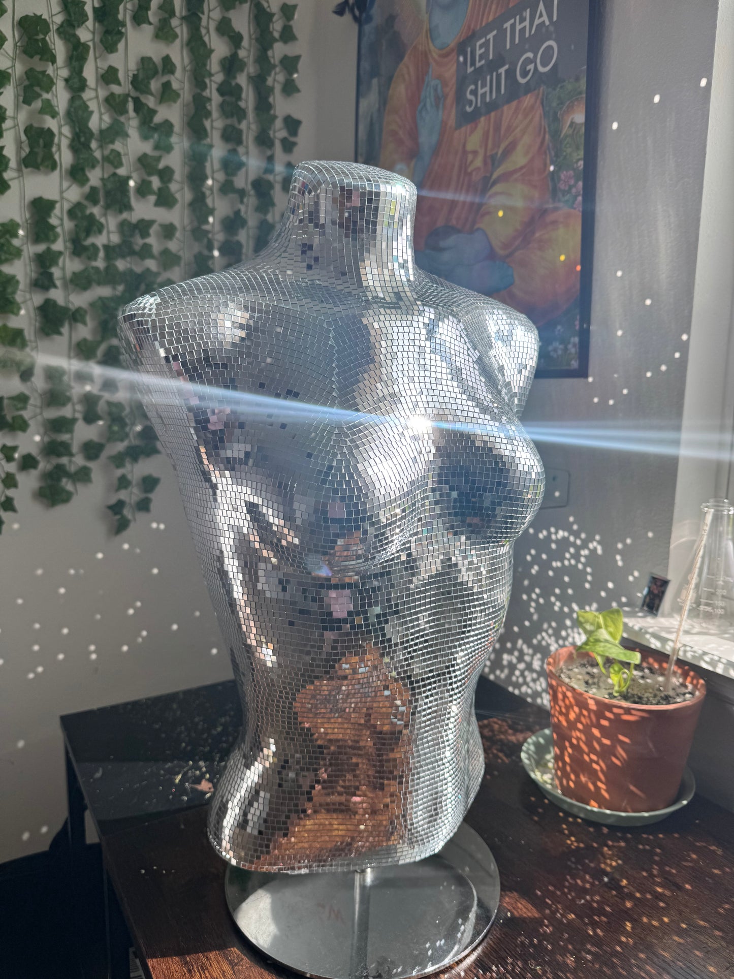 Disco Lady