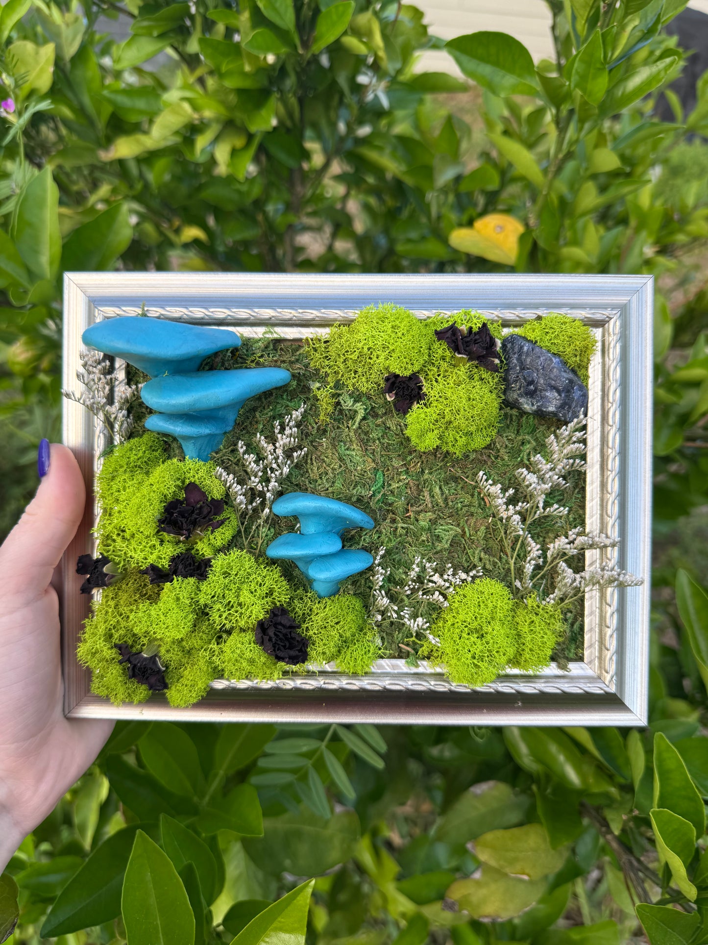 Blue oysters