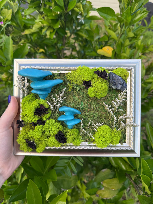 Blue oysters