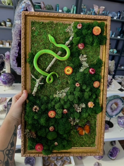 Moss art with green mamba