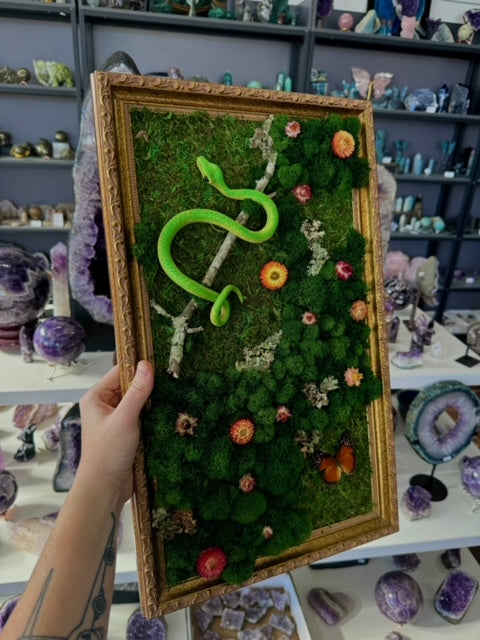 Moss art with green mamba