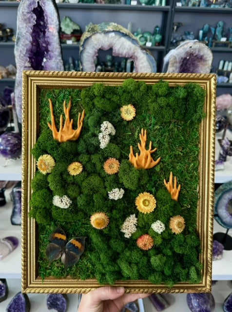 Moss art with coral fungus