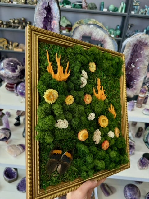 Moss art with coral fungus