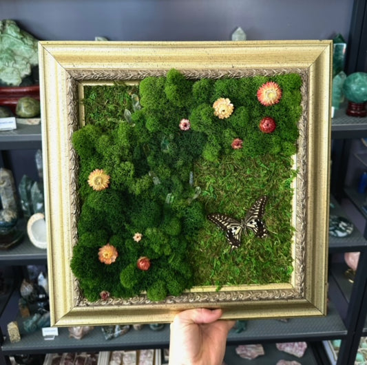 Moss art with Asian Swallowtail and quartz