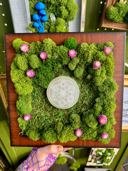 Moss art with Chakra Yantras