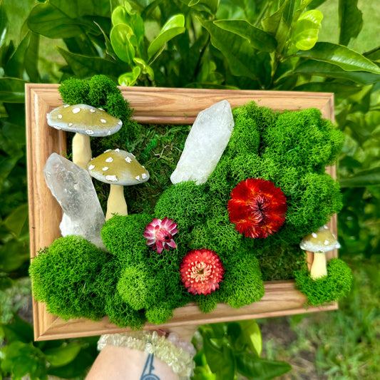 Moss art with quartz points